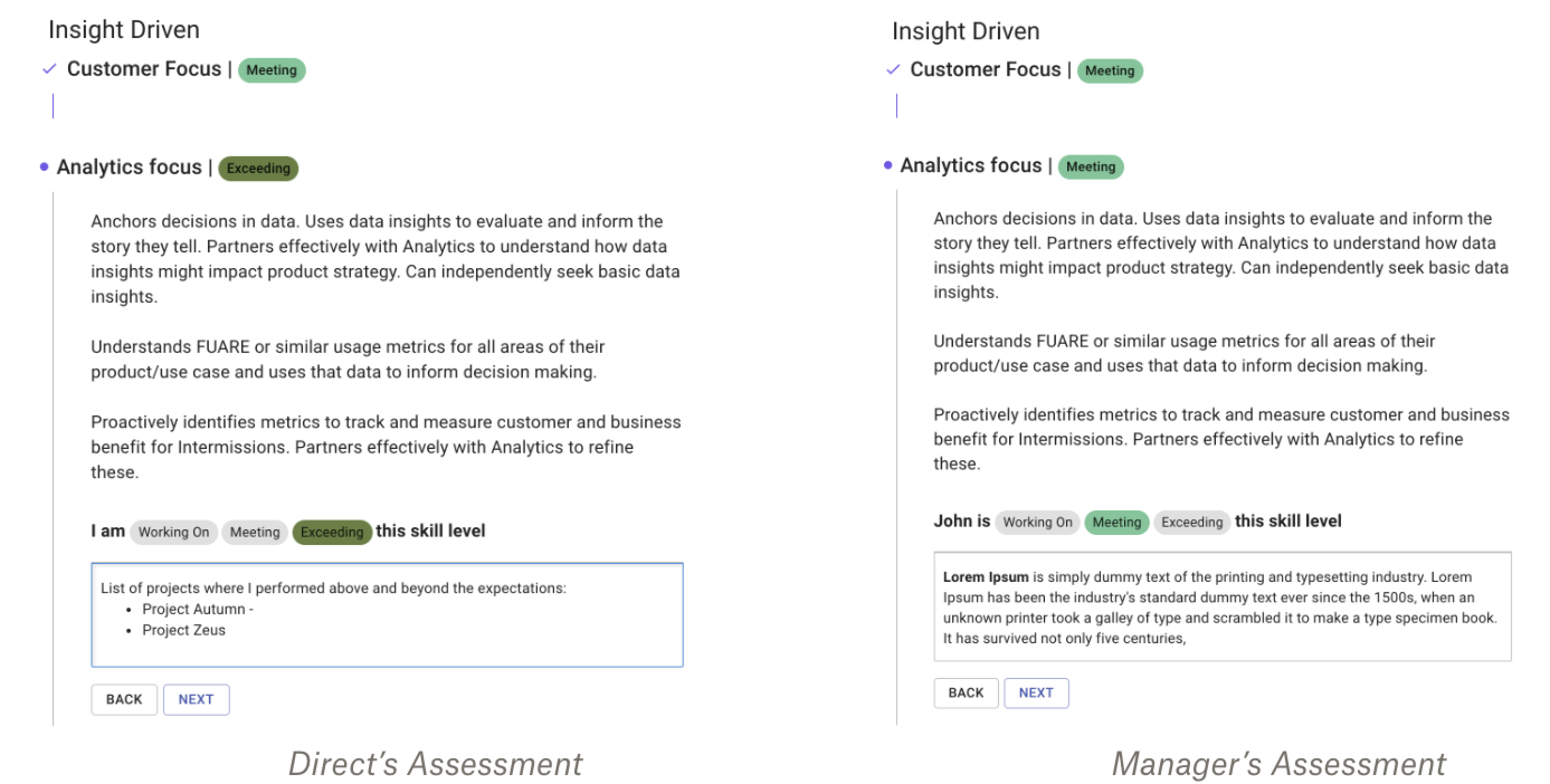 Direct and Manager Assess Skills According to Career Framework